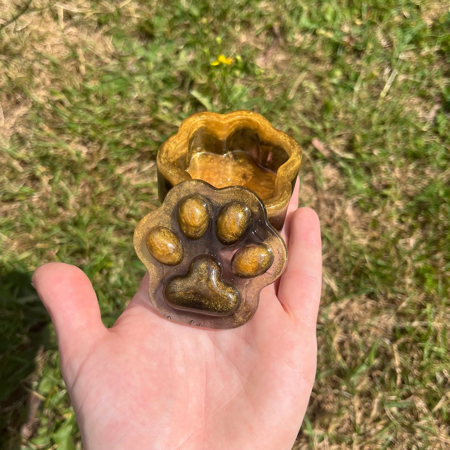 Kleine Pfotendose - farbig