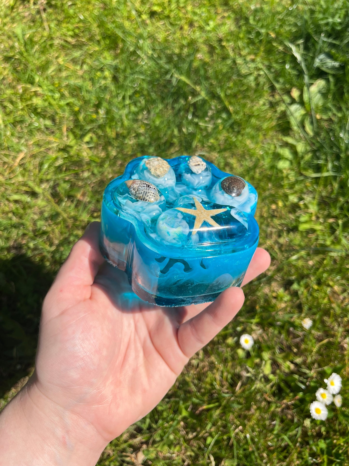 Pfotendose - OceanStil