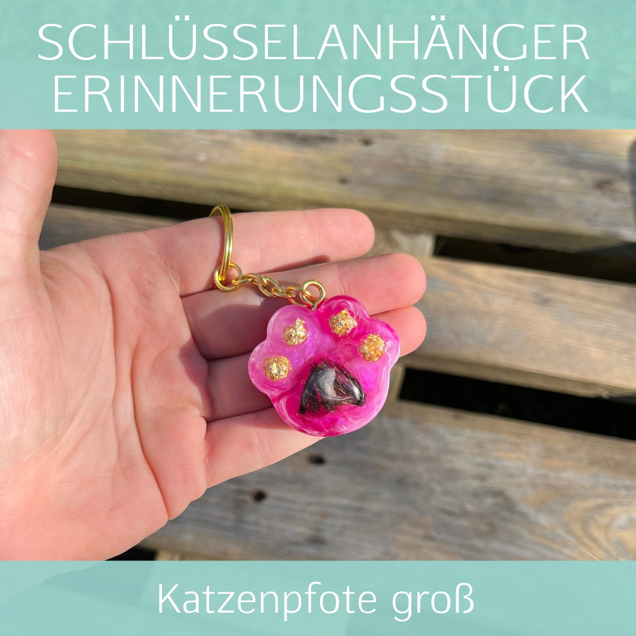 Katzenpfote groß