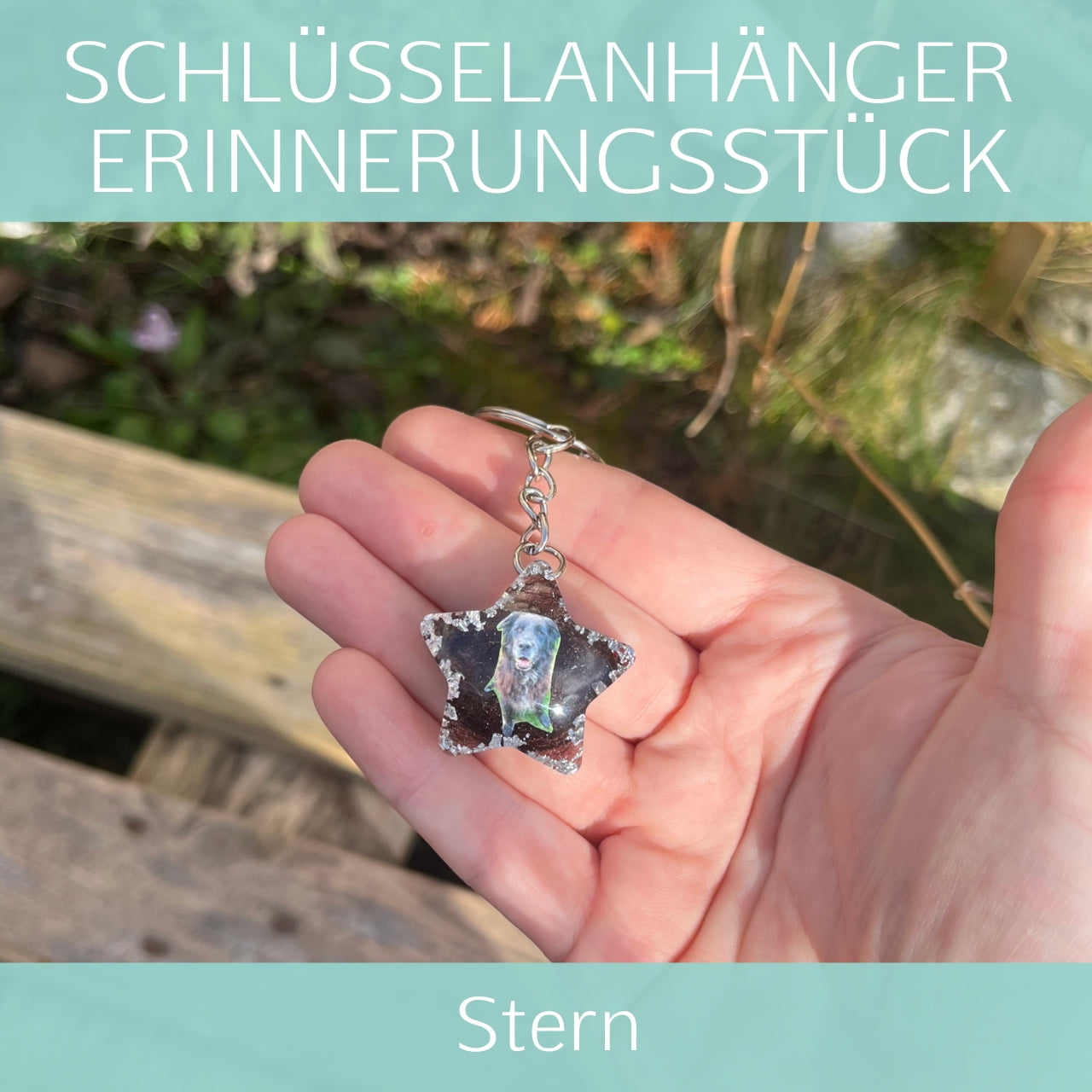 Stern