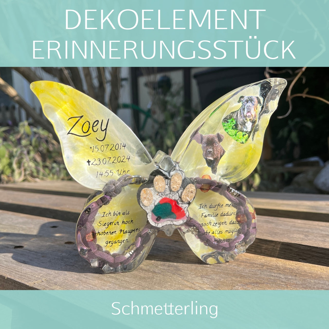 Schmetterling