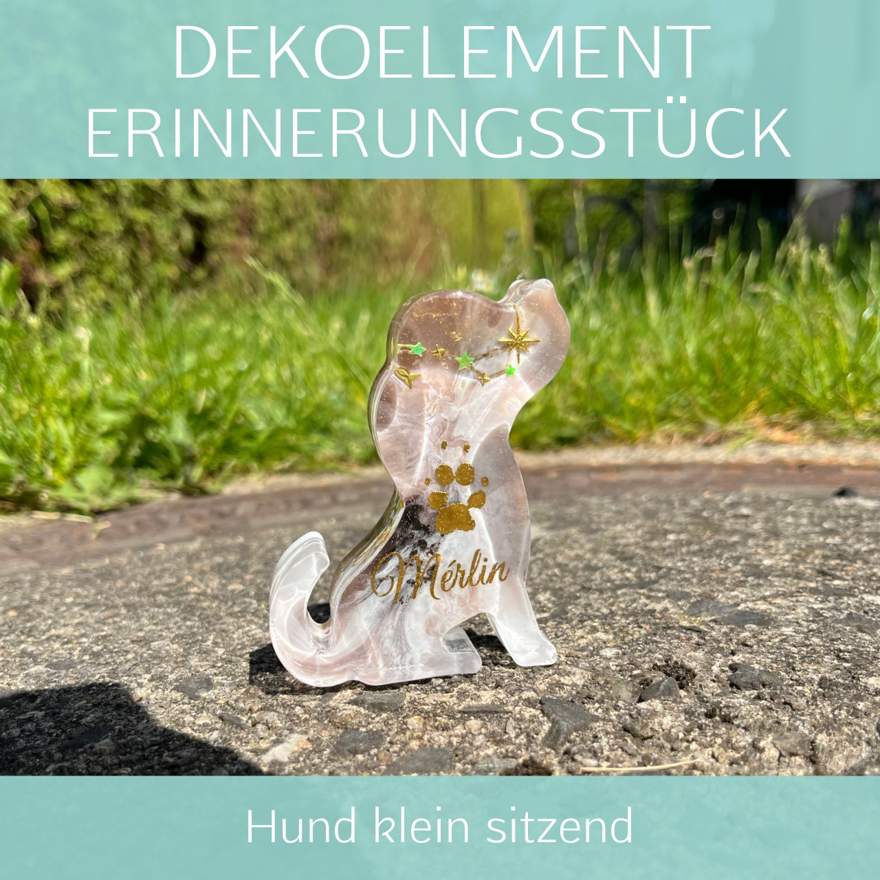 Hund klein sitzend