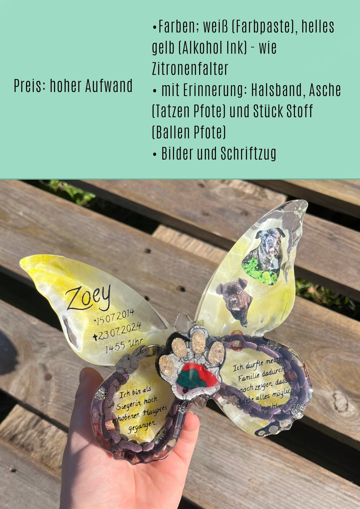 Schmetterling