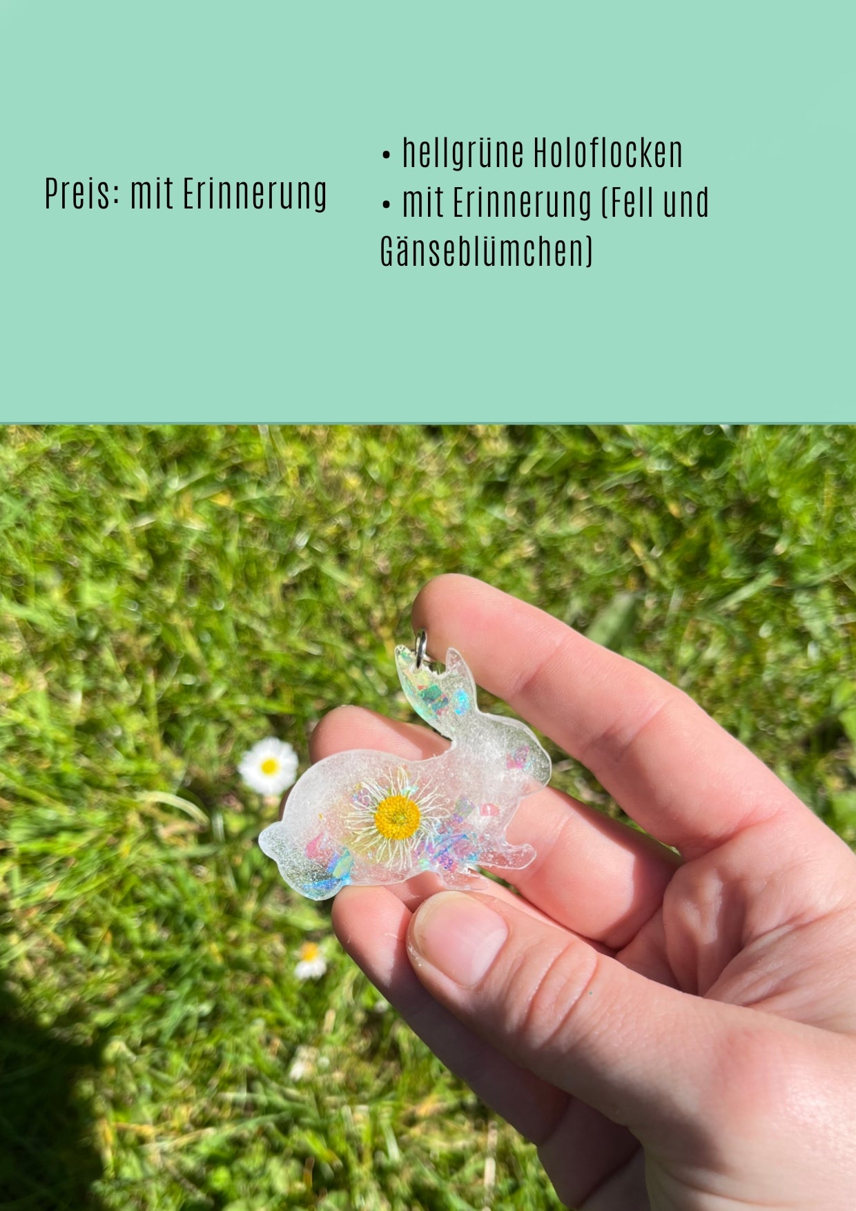 Hase/Kaninchen