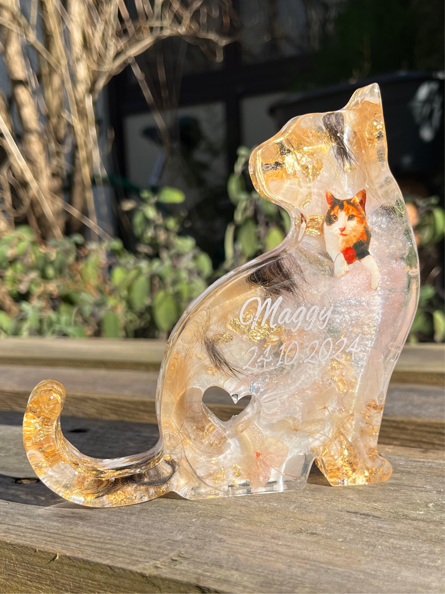 Katze