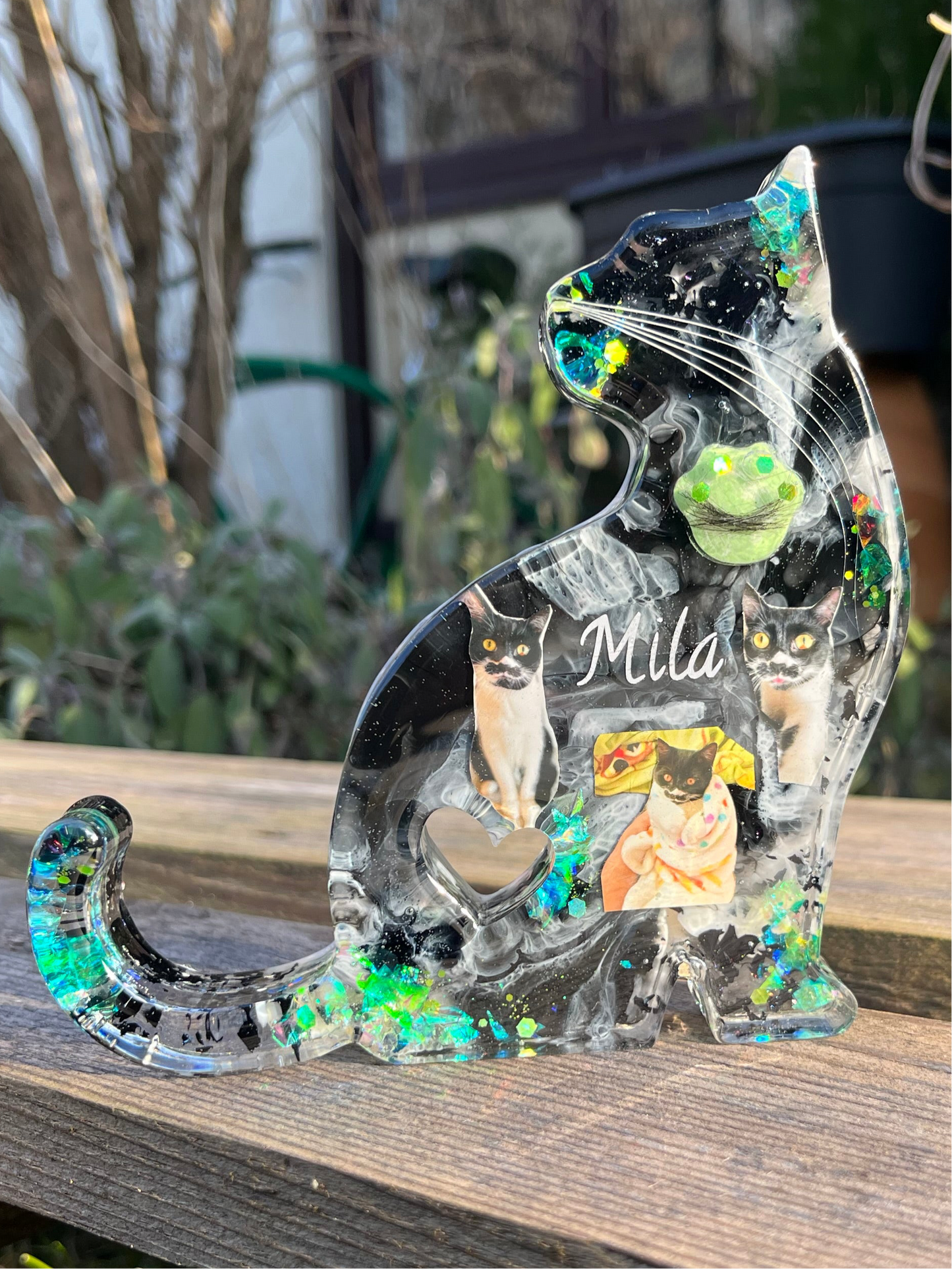 Katze