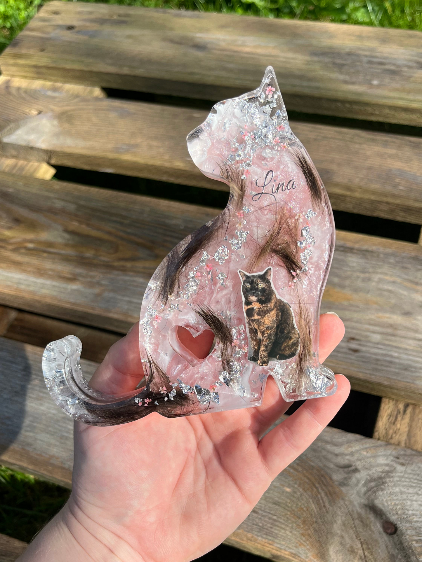 Katze