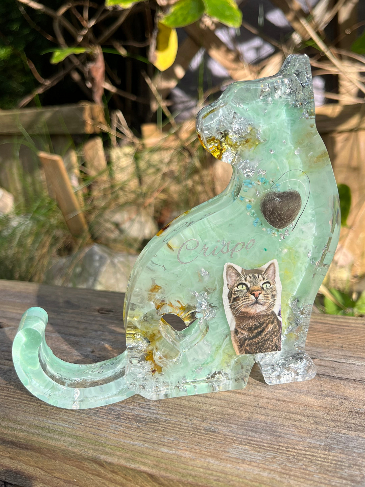 Katze