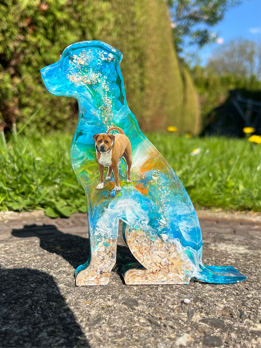 Hund groß sitzend
