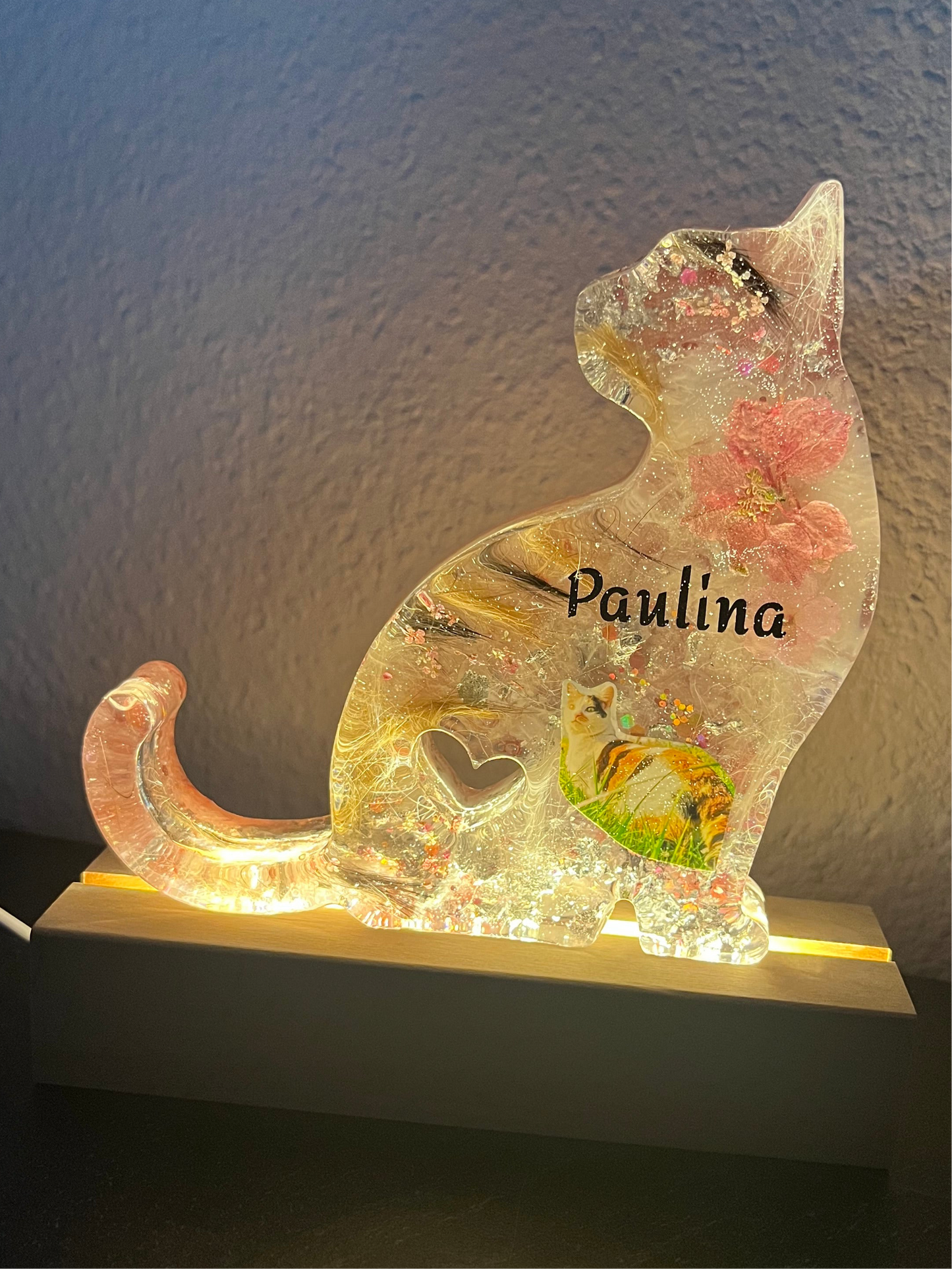 Katze