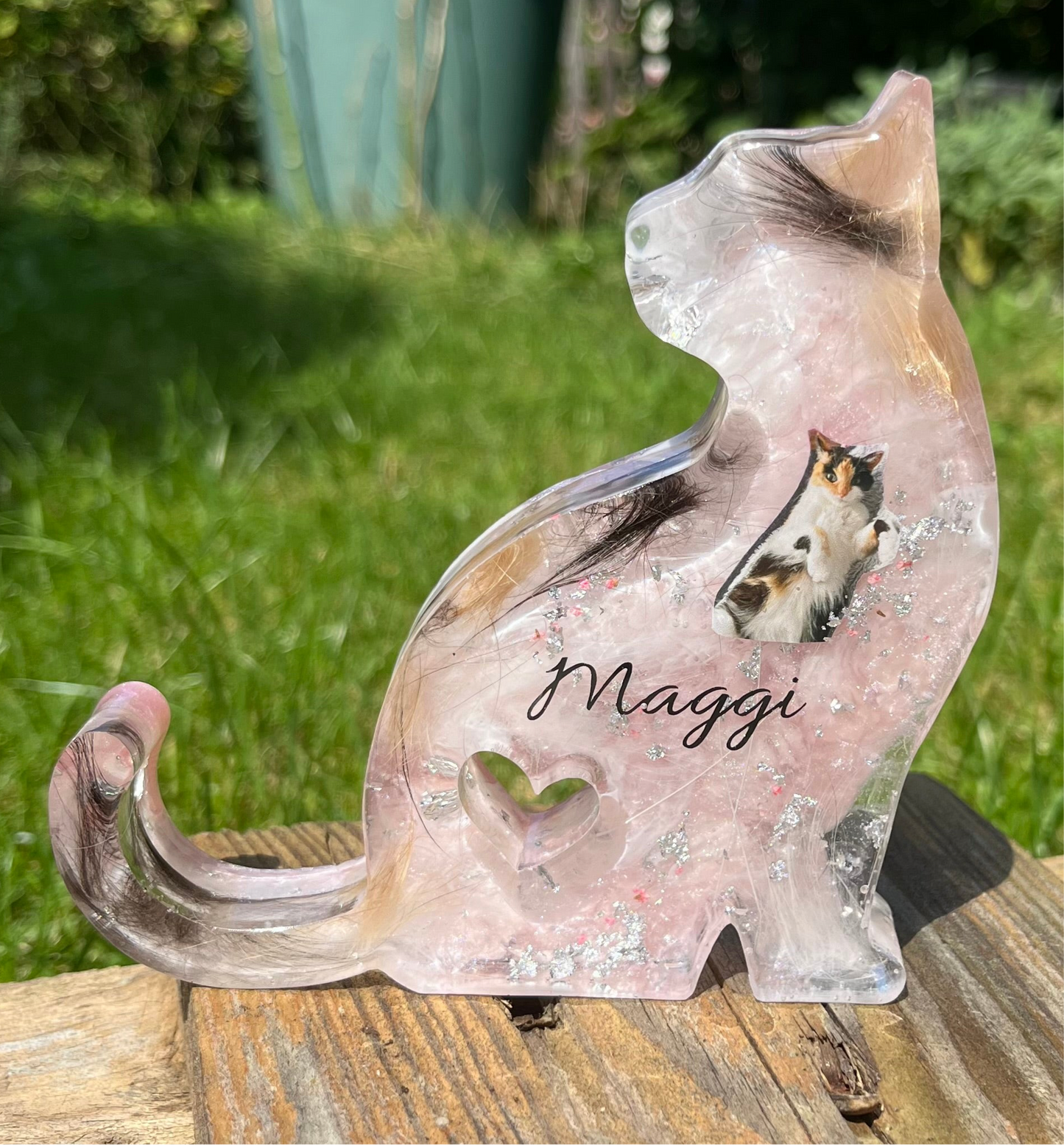 Katze