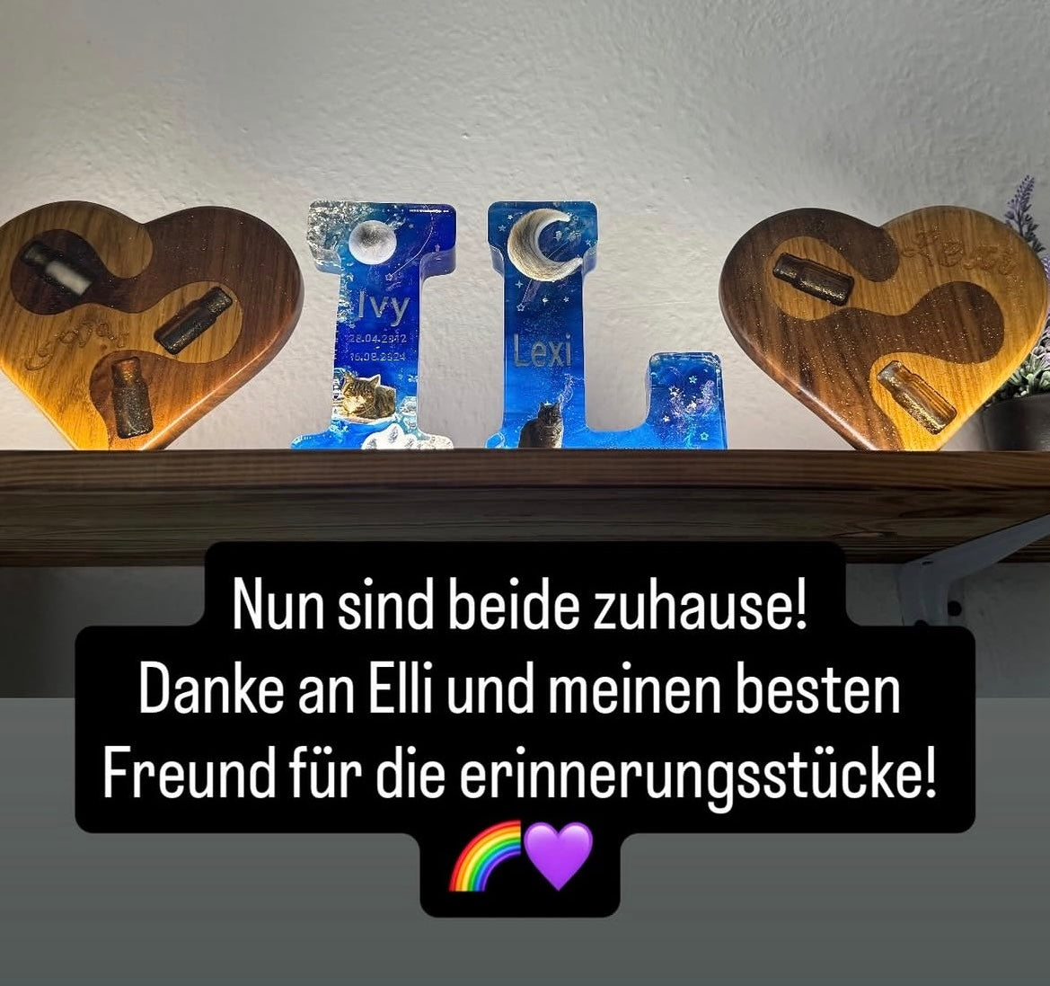 Kundenbilder