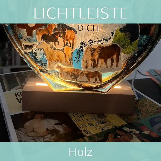 Lichtleiste