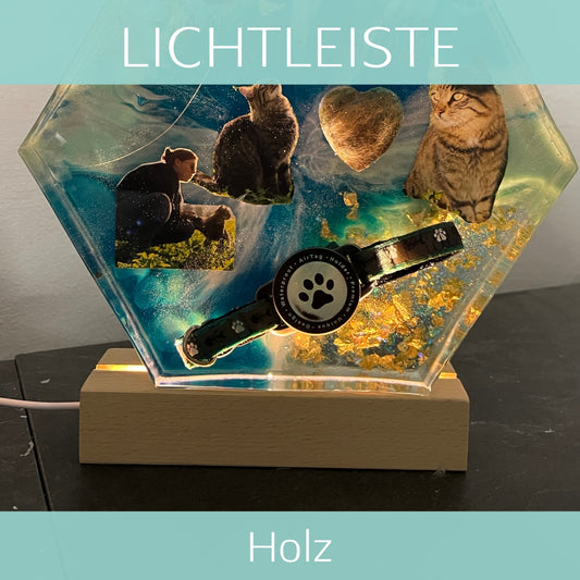Lichtleiste