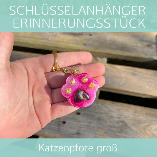 Katzenpfote groß