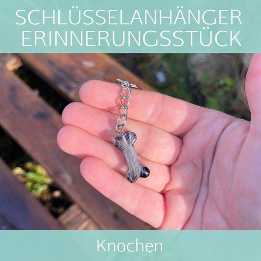 Knochen