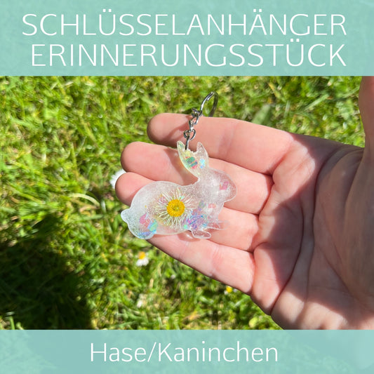 Hase/Kaninchen