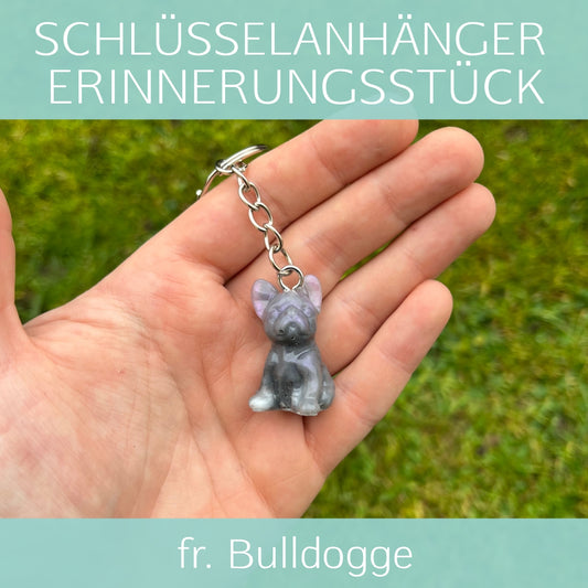 Französische Bulldogge
