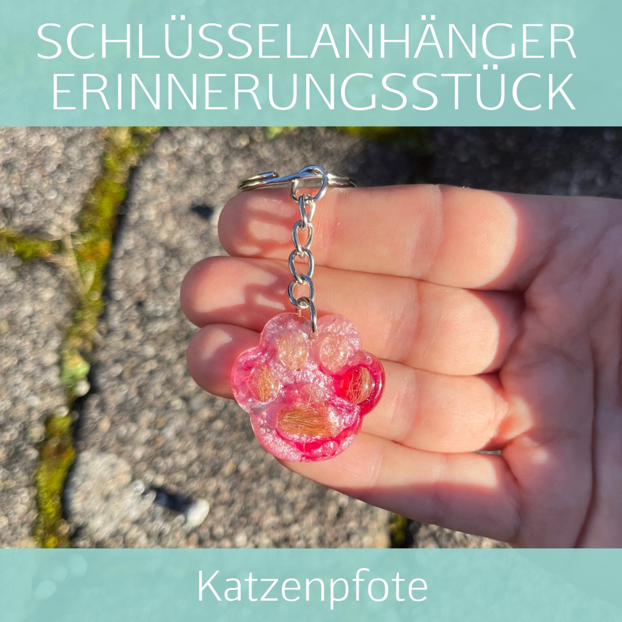 Katzenpfote