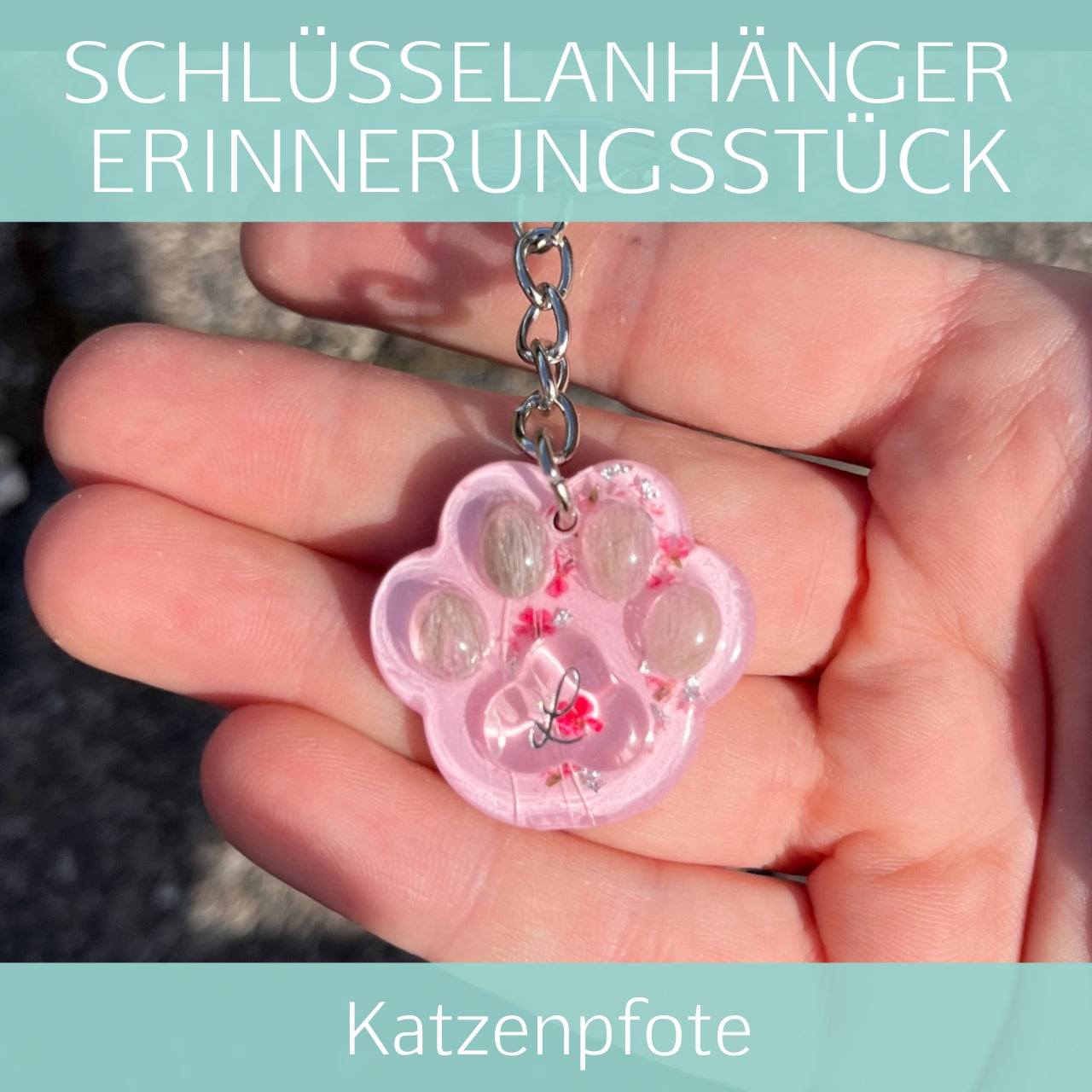 Katzenpfote