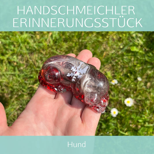 Hund liegend