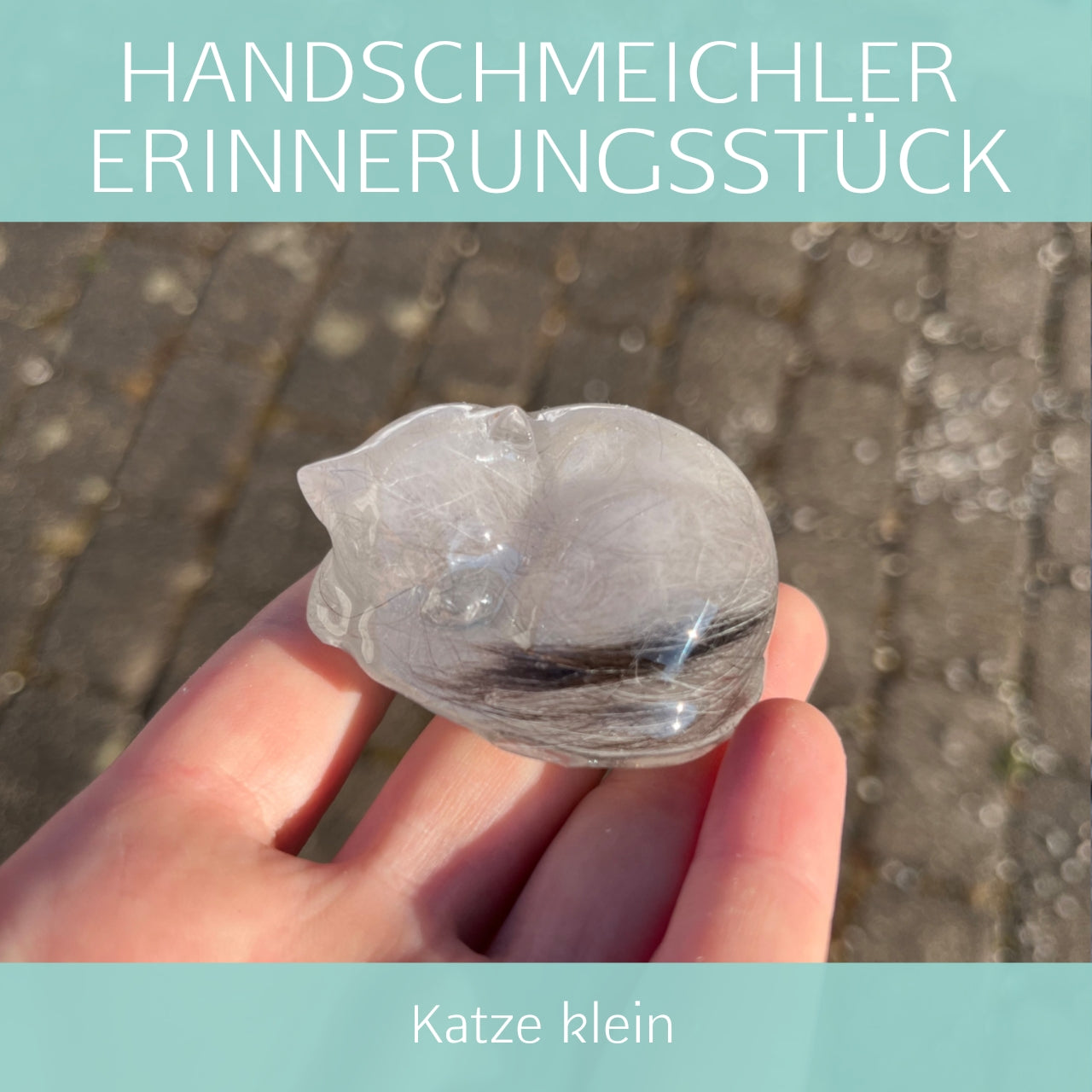 Katze klein