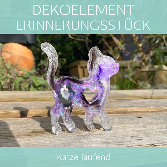 Katze laufend