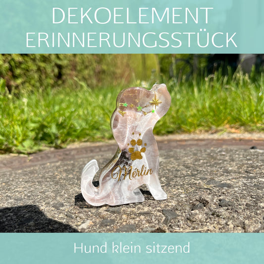 Hund klein sitzend