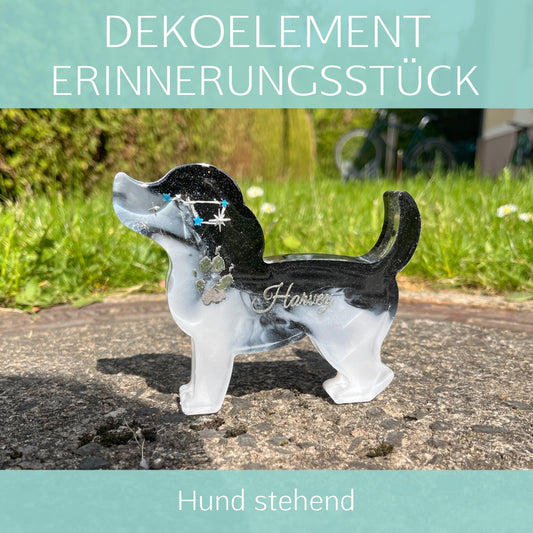Hund stehend