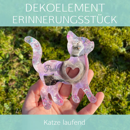 Katze laufend