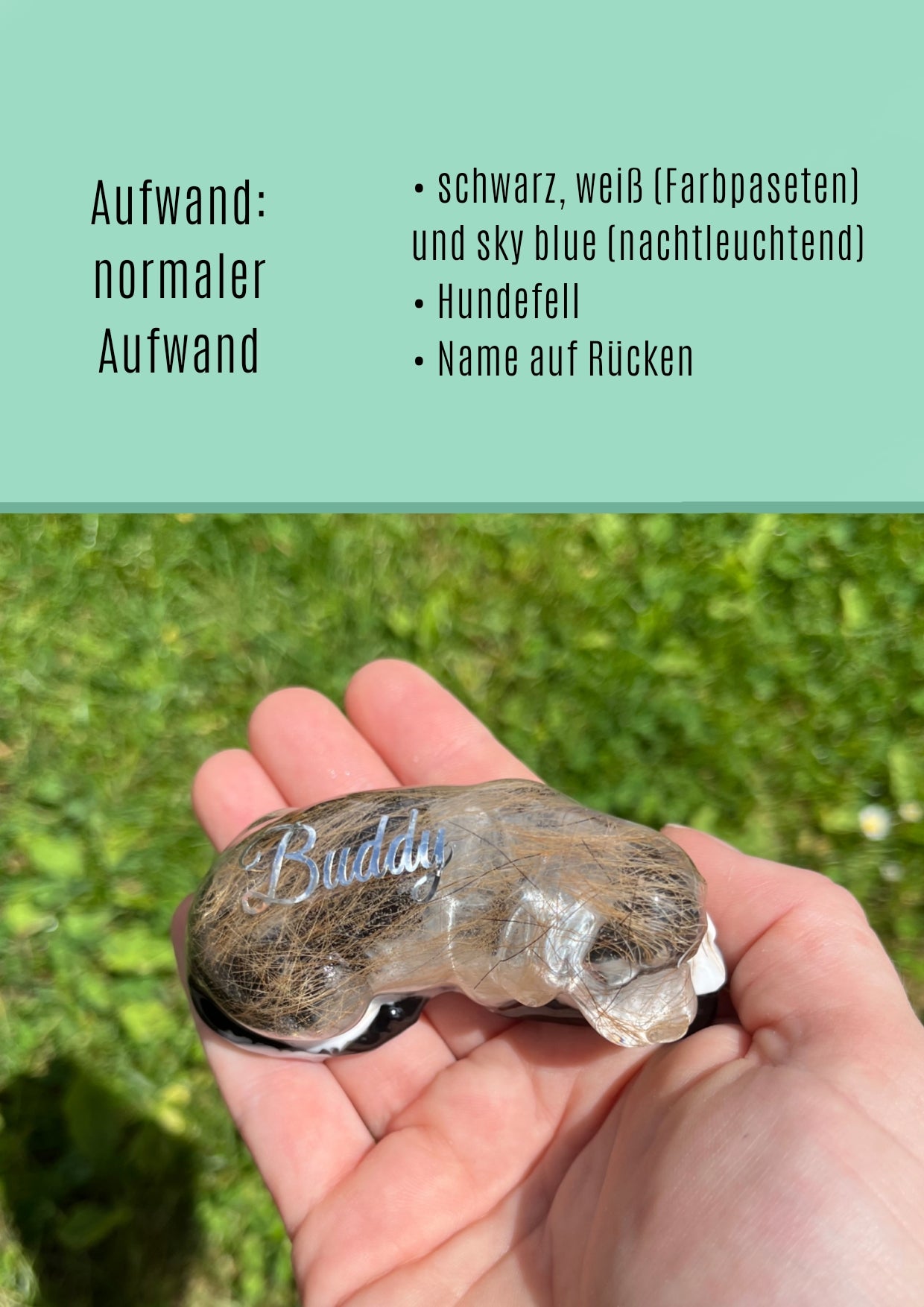 Hund liegend