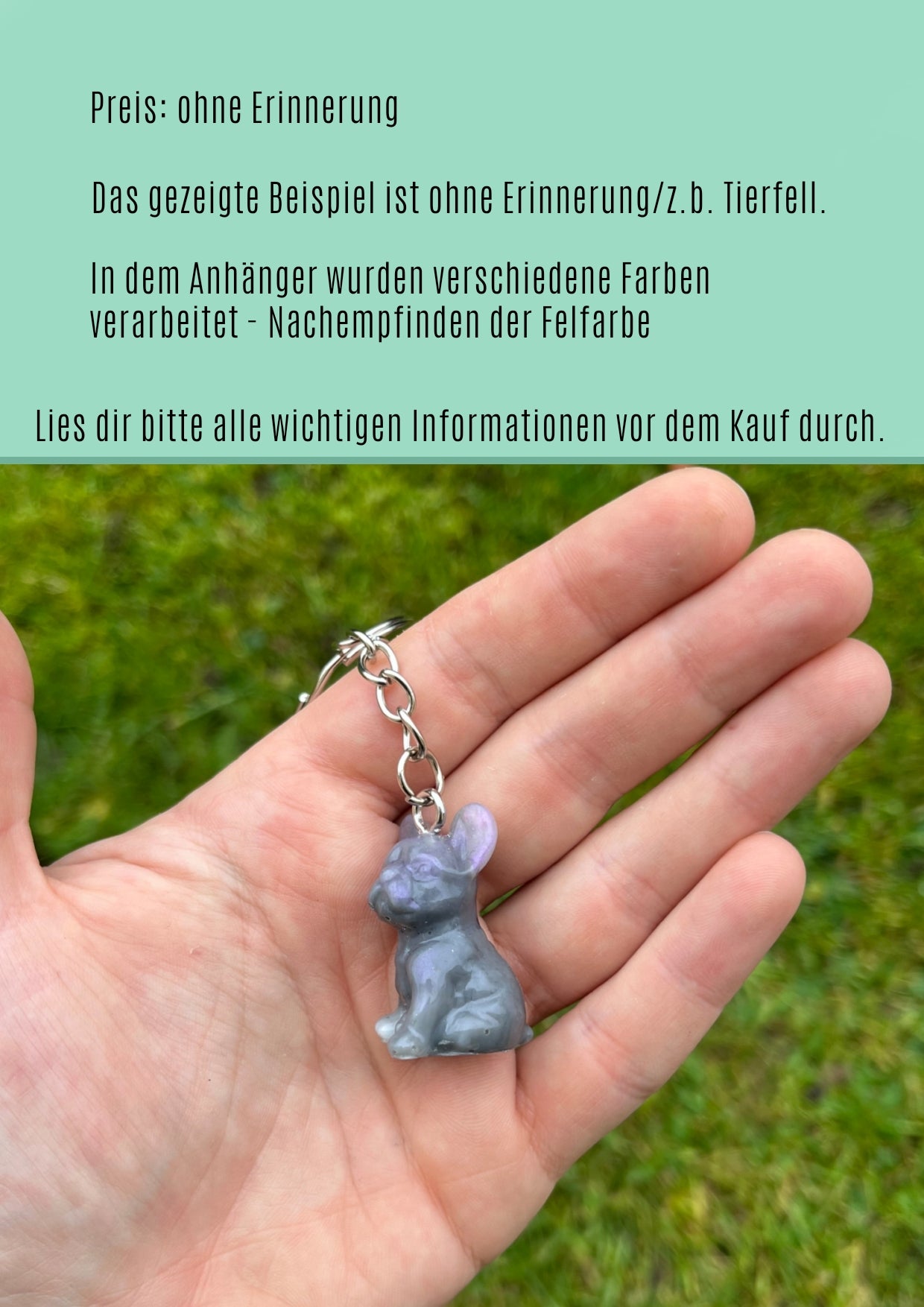 Französische Bulldogge